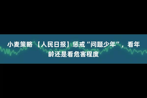 小麦策略 【人民日报】惩戒“问题少年”，看年龄还是看危害程度