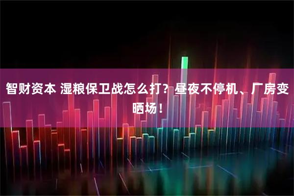 智财资本 湿粮保卫战怎么打？昼夜不停机、厂房变晒场！
