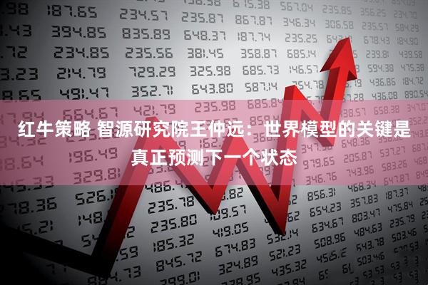 红牛策略 智源研究院王仲远：世界模型的关键是真正预测下一个状态