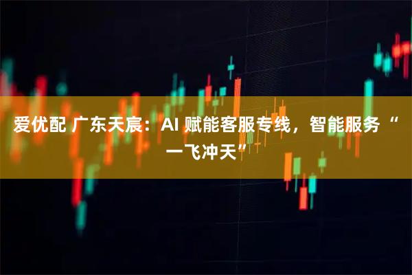 爱优配 广东天宸：AI 赋能客服专线，智能服务 “一飞冲天”